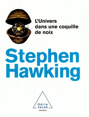 [9782738110350] Univers dans une coquille de noix (L')