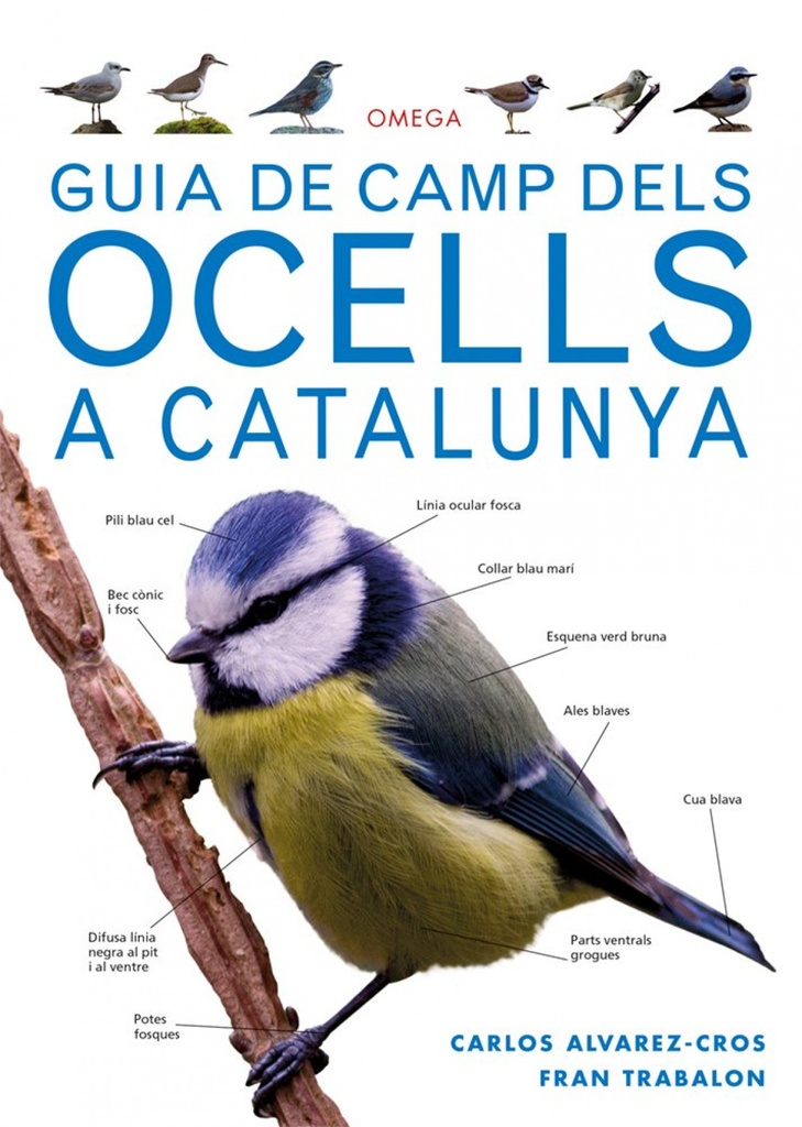 [9788428216562] Guia de Camp Dels Ocells a Catalunya