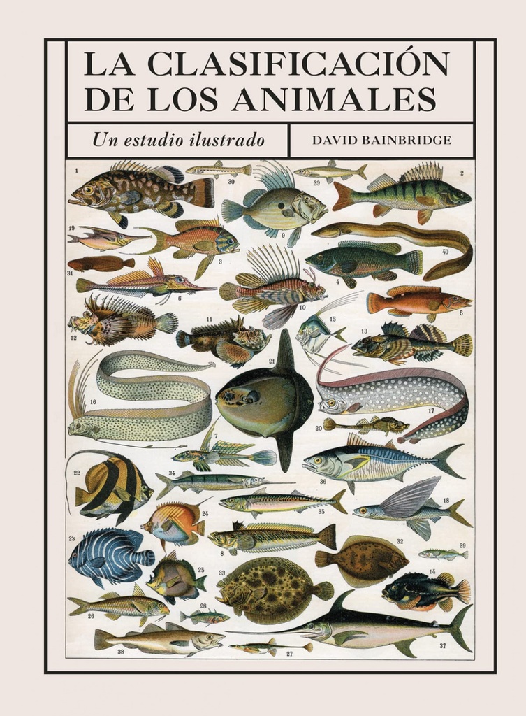 [9788428217521] Clasificacion de los Animales, la