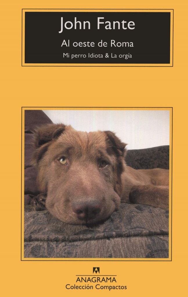 [9788433973849] Al oeste de Roma