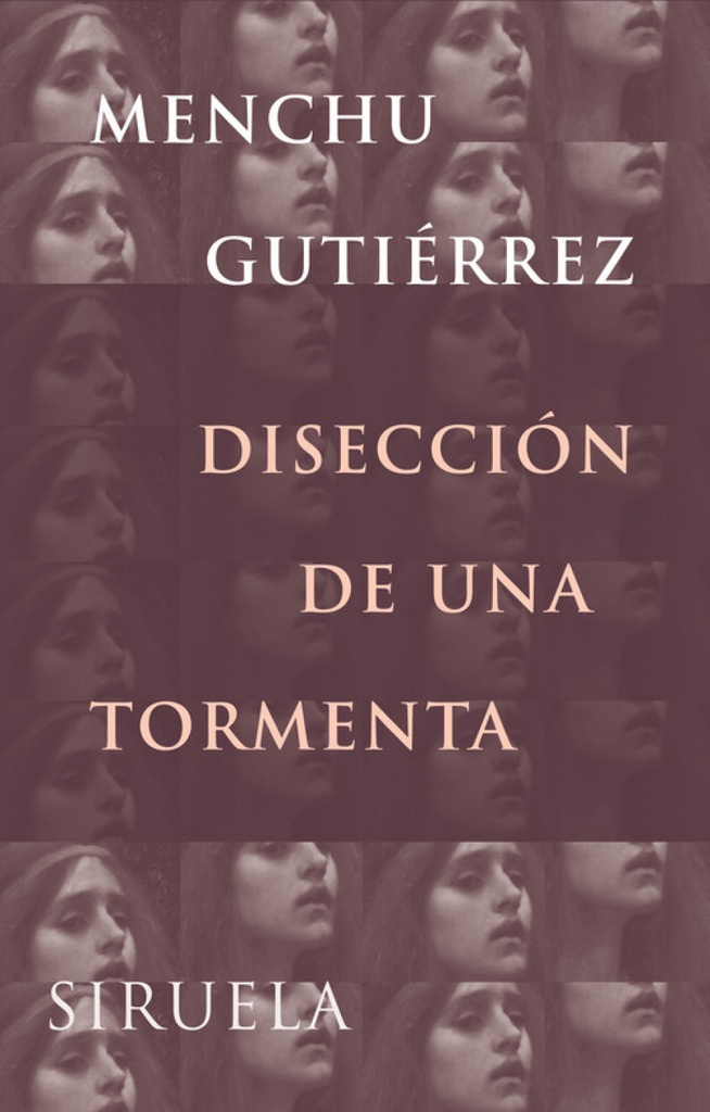 Disección de una tormenta