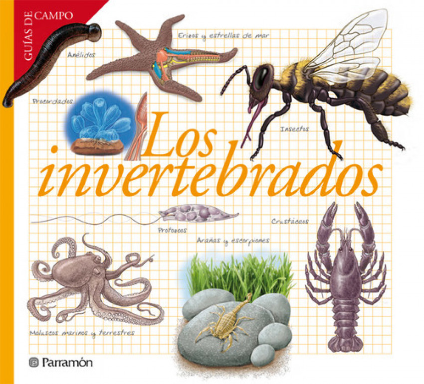 [9788434240599] Los invertebrados