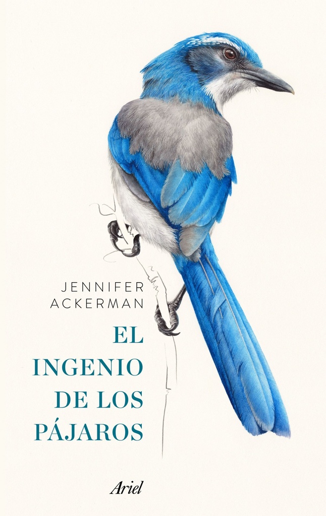 [9788434425262] El Ingenio de los Pájaros