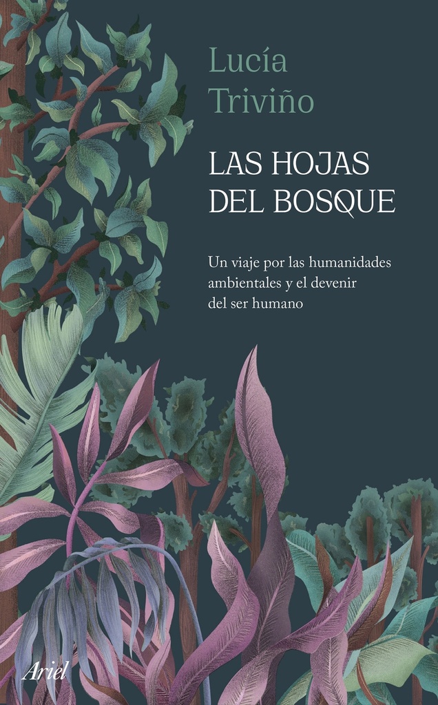 [9788434436718] Las hojas del bosque