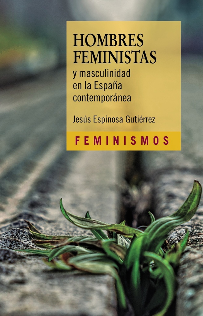 [9788437645018] Hombres feministas y masculinidad en la España contemporánea