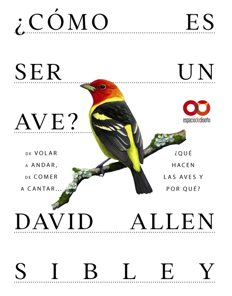 [9788441549050] ¿Cómo es ser un ave? De volar a anidar, de comer a cantar... ¿Qué hacen las aves