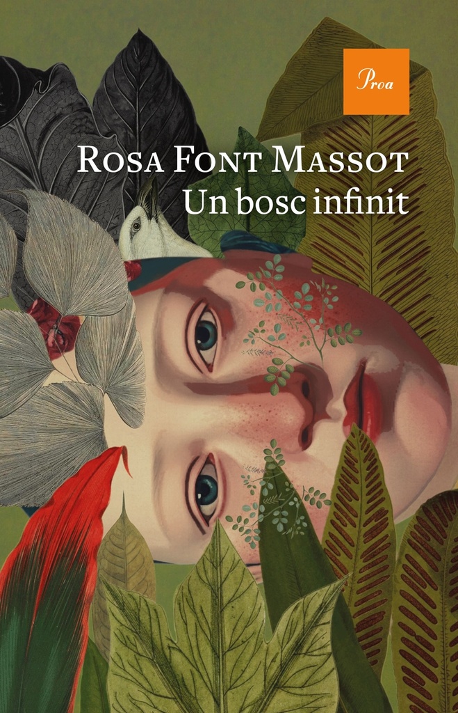 cat.Bosc infinit