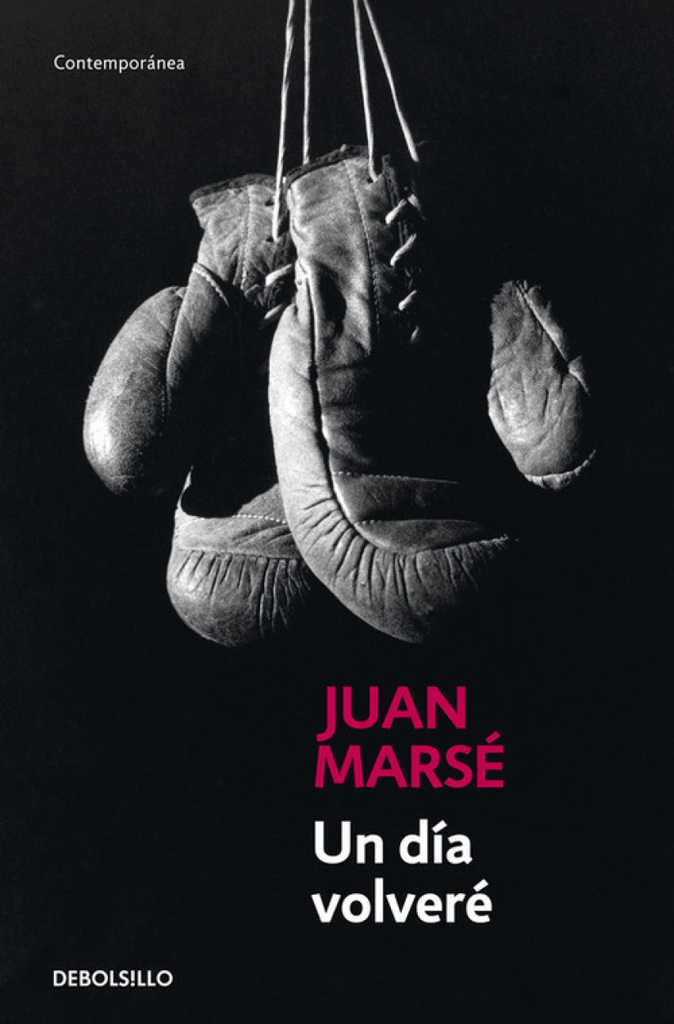 [9788497930314] Un día volveré