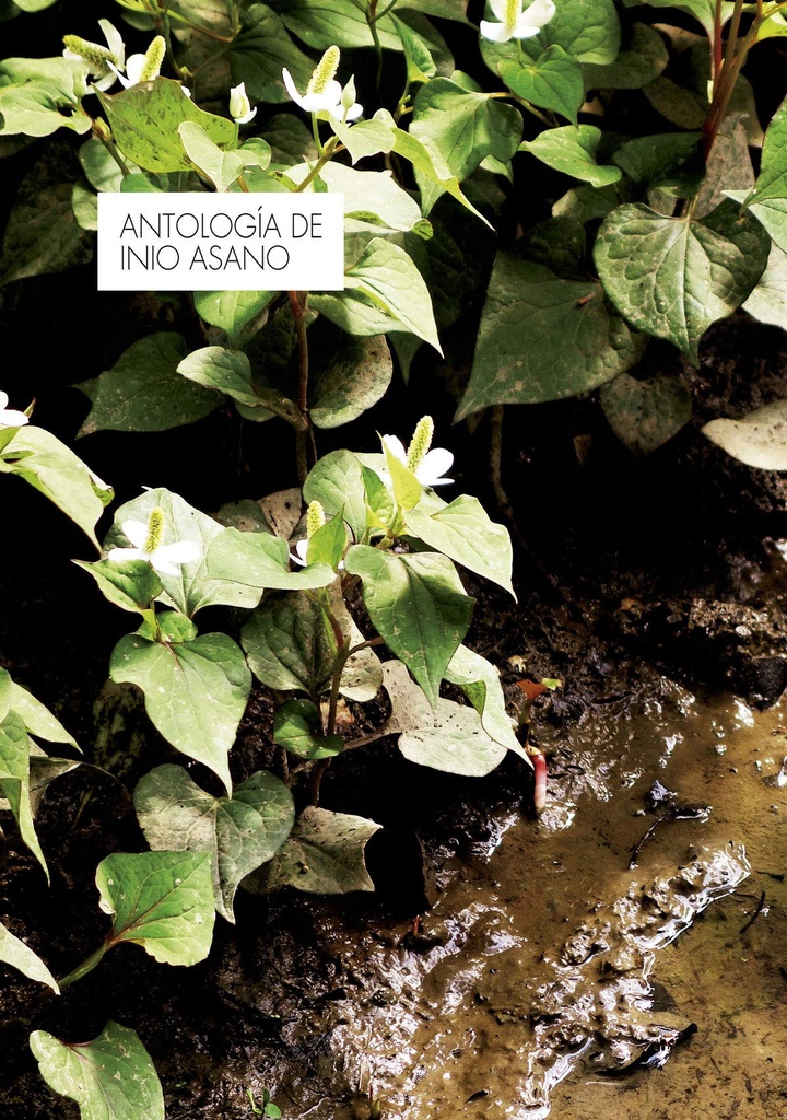 [9788467942552] Antologia de Inio Asano