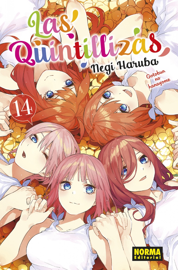 [9788467949421] Las Quintillizas 14