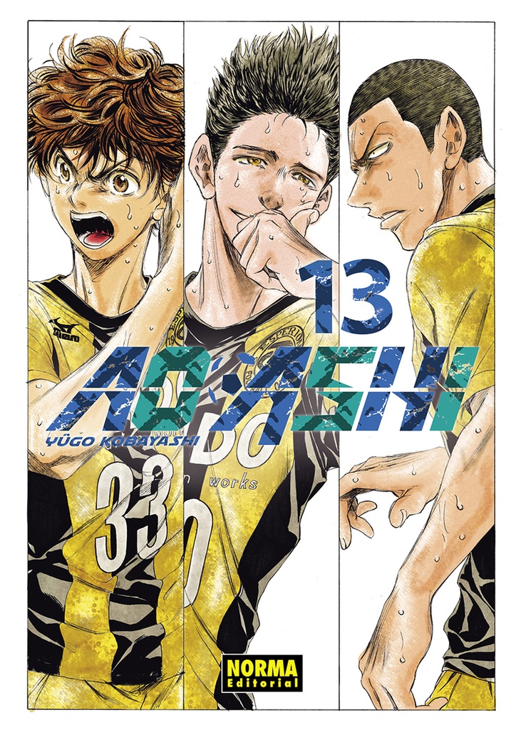 [9788467963328] Ao Ashi 13