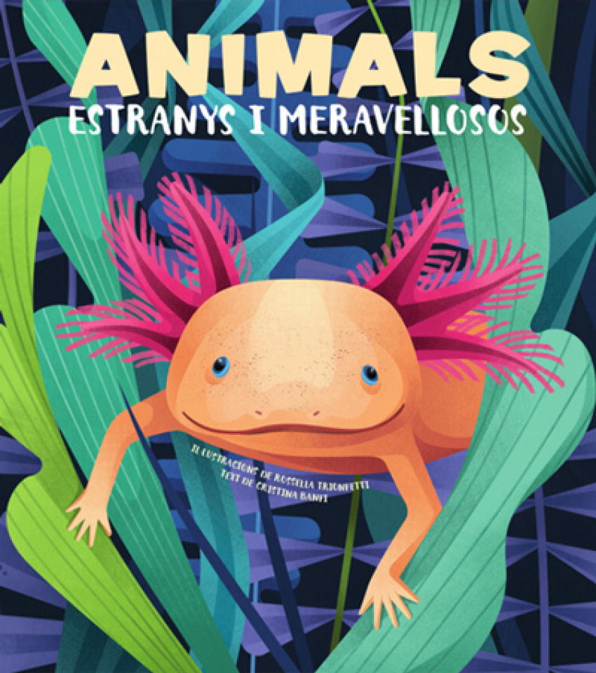 [9788468270685] Animals Extranys I Meravellosos (vvkids)