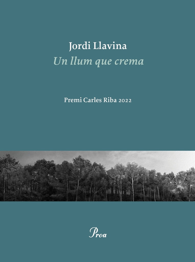 [9788475889979] Un llum que crema