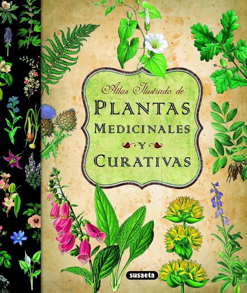 [9788467712575] Atlas Ilustrado de Plantas Medicinales y Curativas
