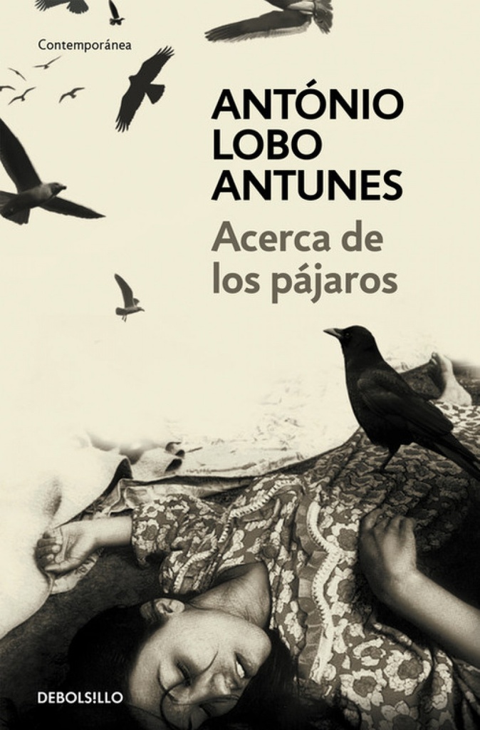 [9788483469163] Acerca de los pájaros