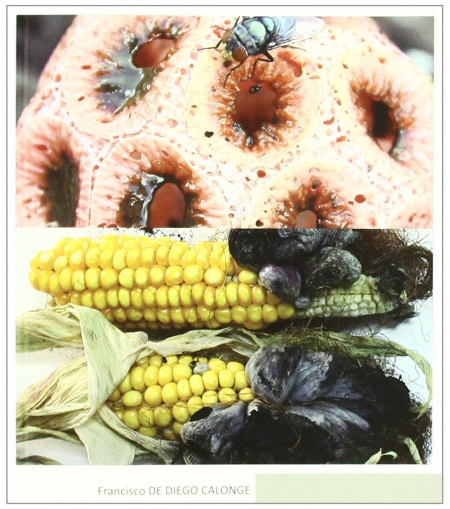 [9788484765080] Hongos Medicinales