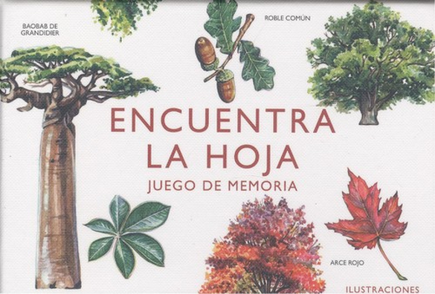 [8425402405833] Encuentra la Hoja