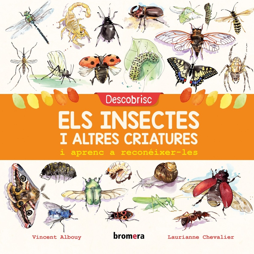 [9788490269169] Descobrisc Els Insectes I Altres Criatures I Aprenc a Reconèixer-les