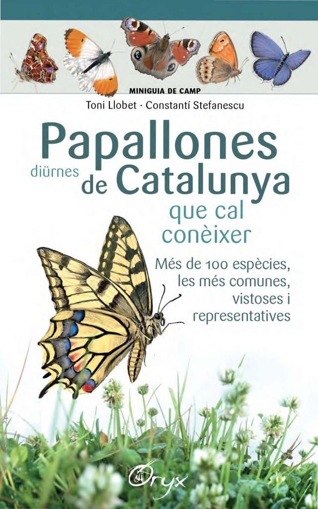 [9788490346754] Papallones Diurnes de Catalunya