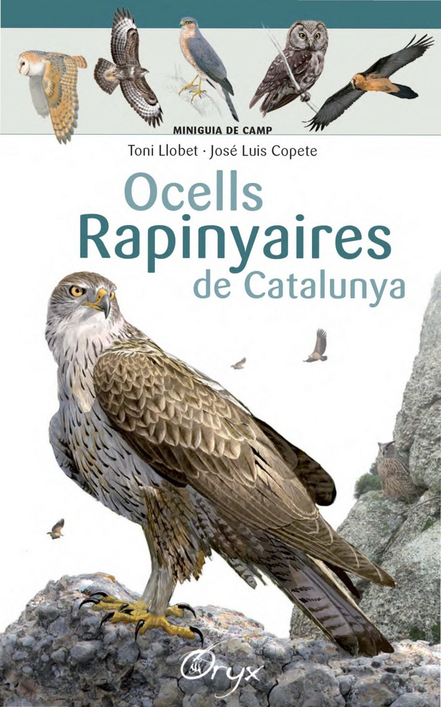 [9788490346785] Ocells Rapinyaires de Catalunya