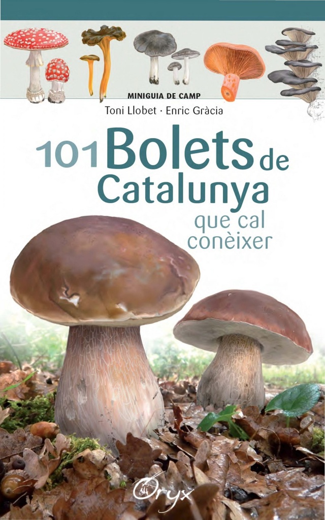 [9788490347096] 101 Bolets de Catalunya