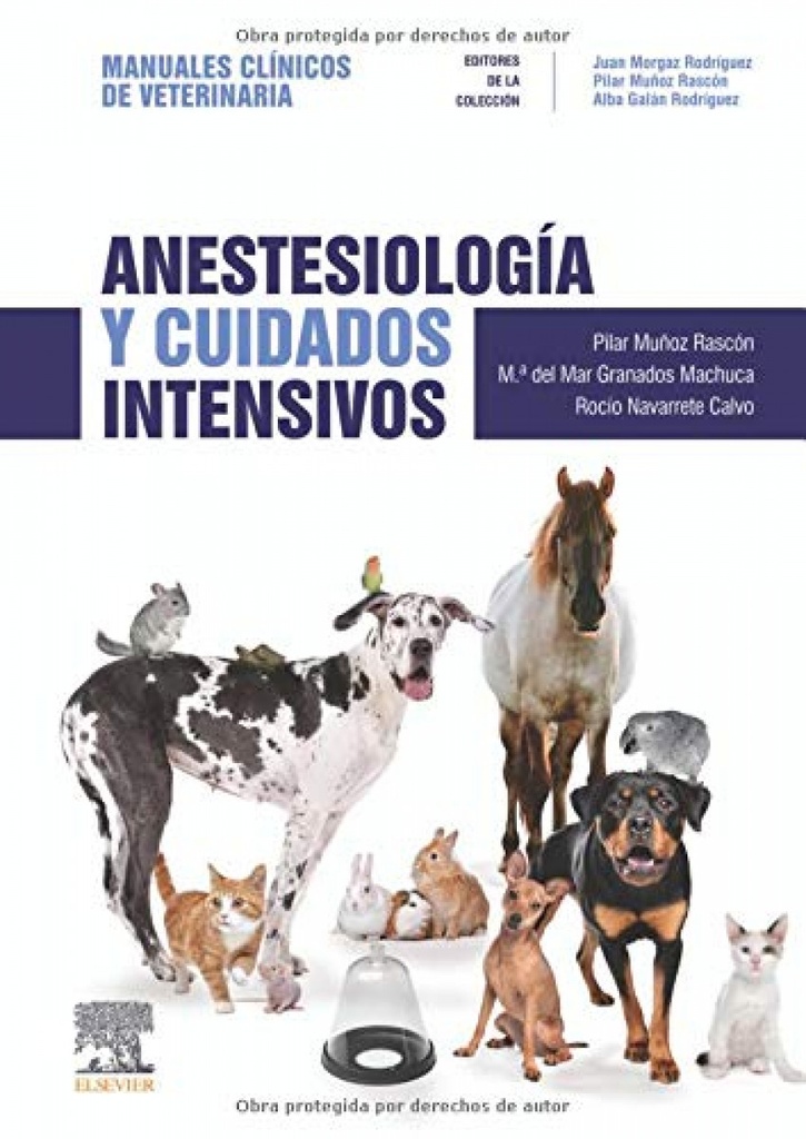 [9788491133544] Anestesiología y Cuidados Intensivos