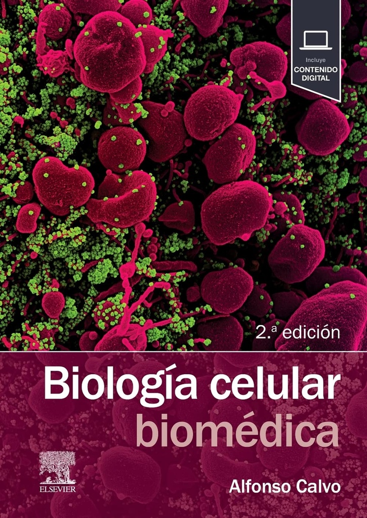 [9788491139591] Biologia celular biomedica