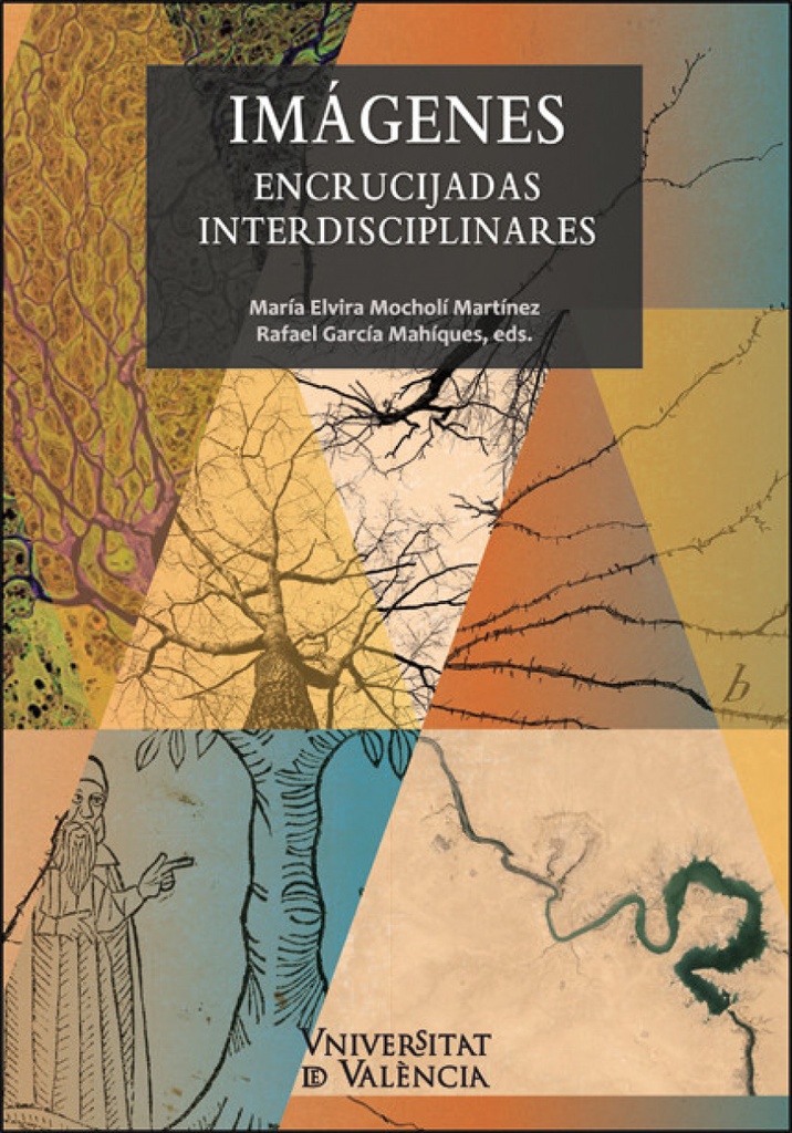 [9788491336204] Imágenes. Encrucijadas interdisciplinares