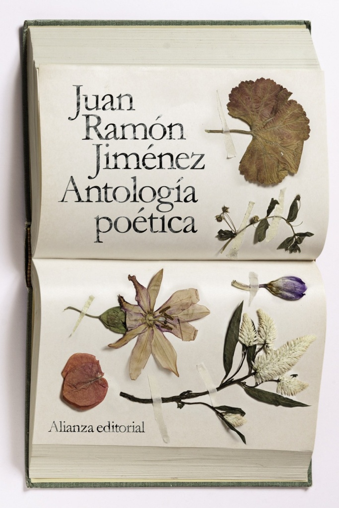 Antología Poètica
