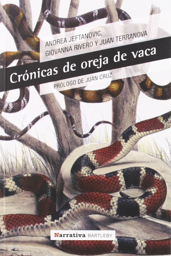 [9788492799312] Crónicas de oreja de vaca