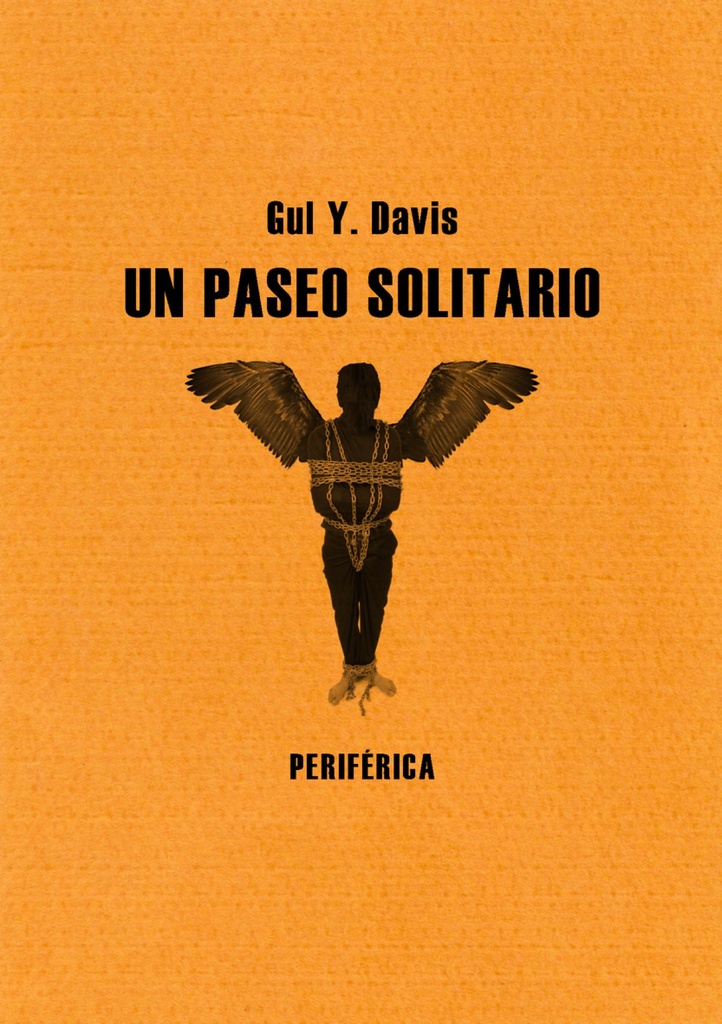 [9788493692636] Un Paseo Solitario