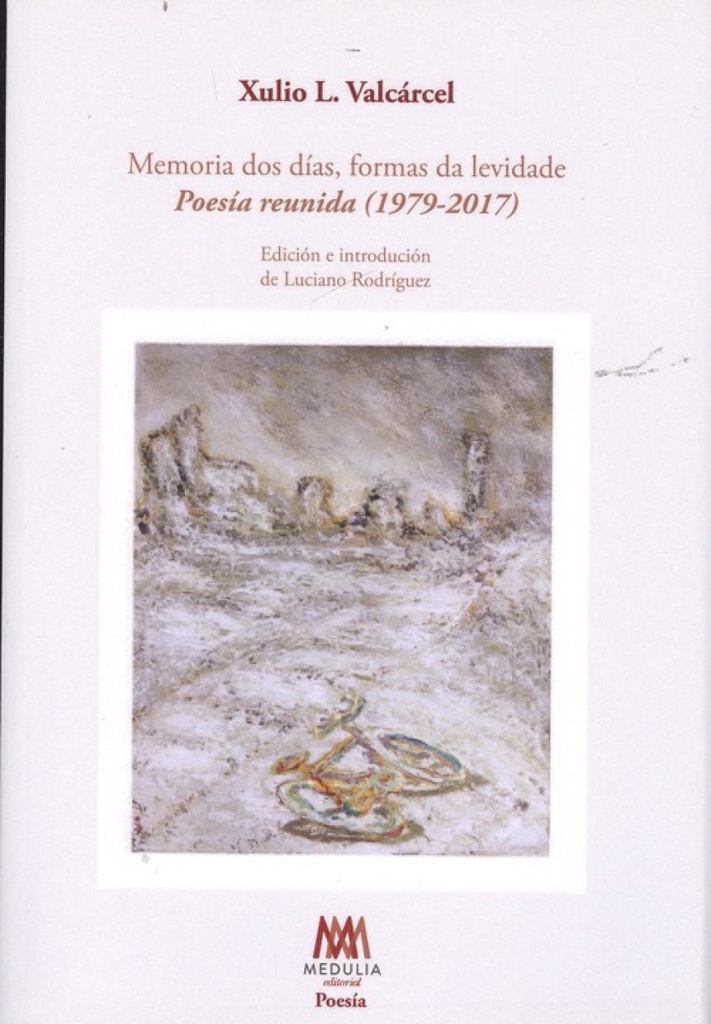 [9788494378348] Memoria Dos Dias, Formas de Levidade