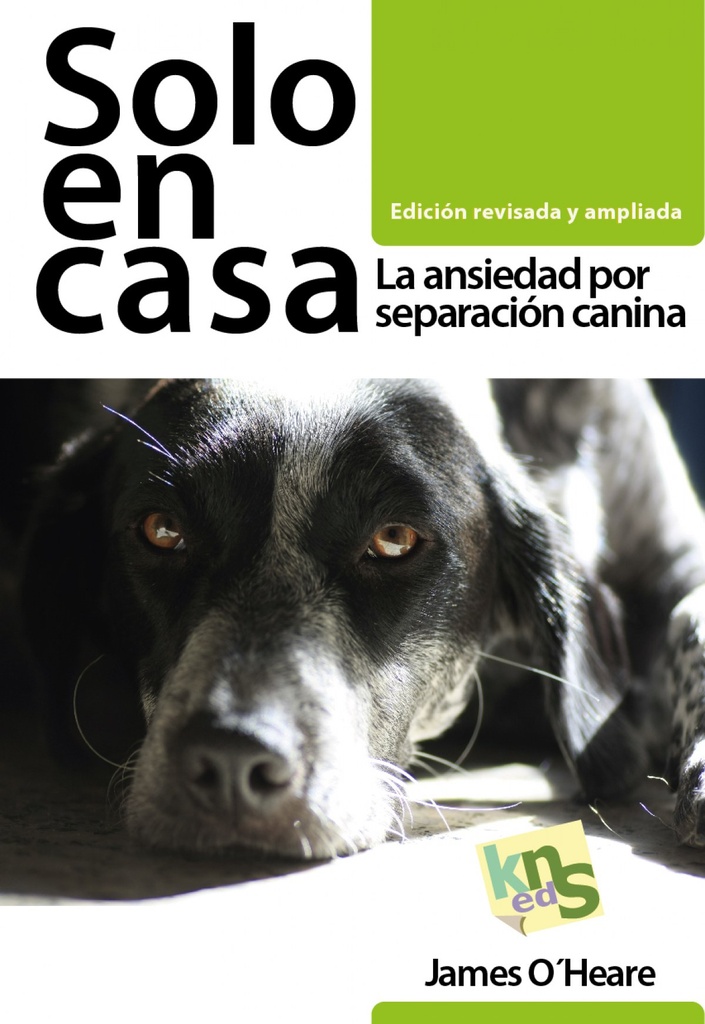 Solo en Casa