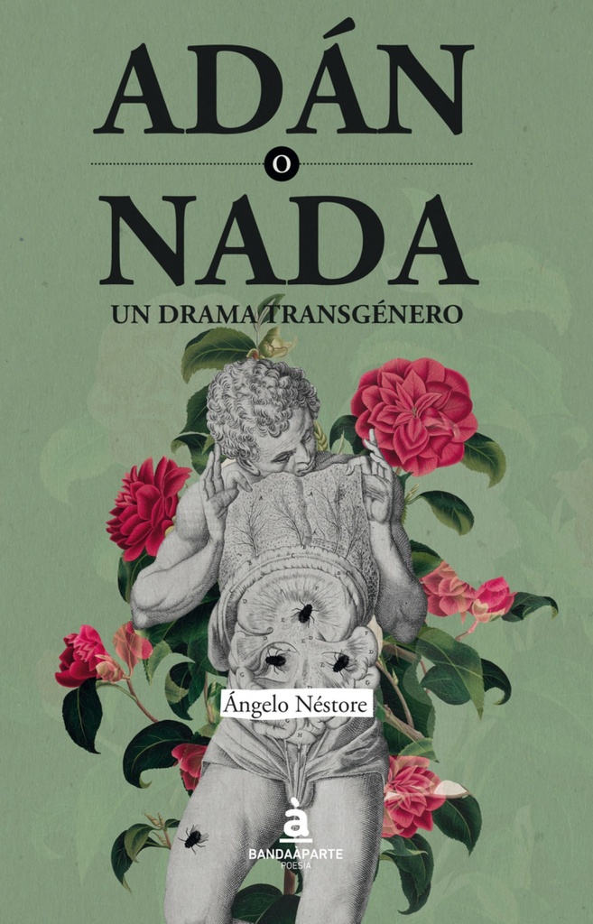 [9788494612992] Adán o Nada