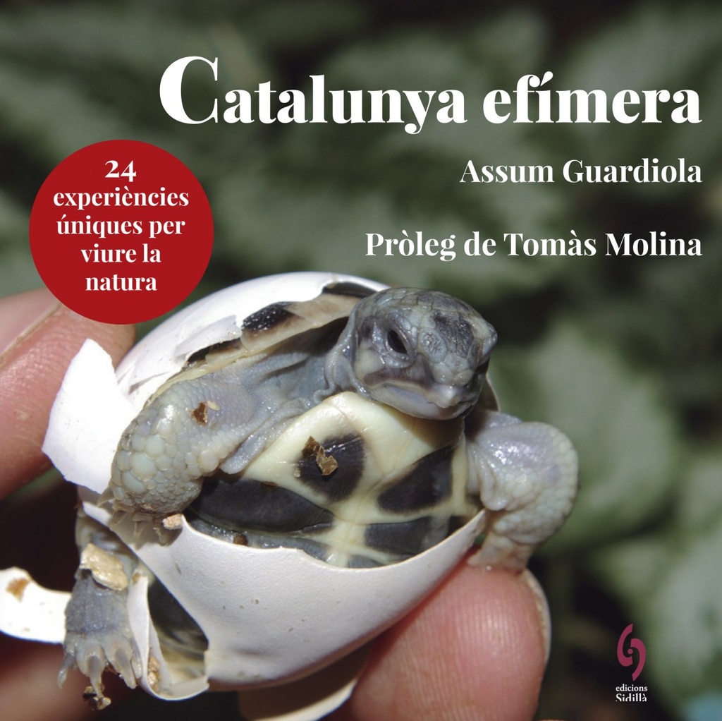 Catalunya Efímera