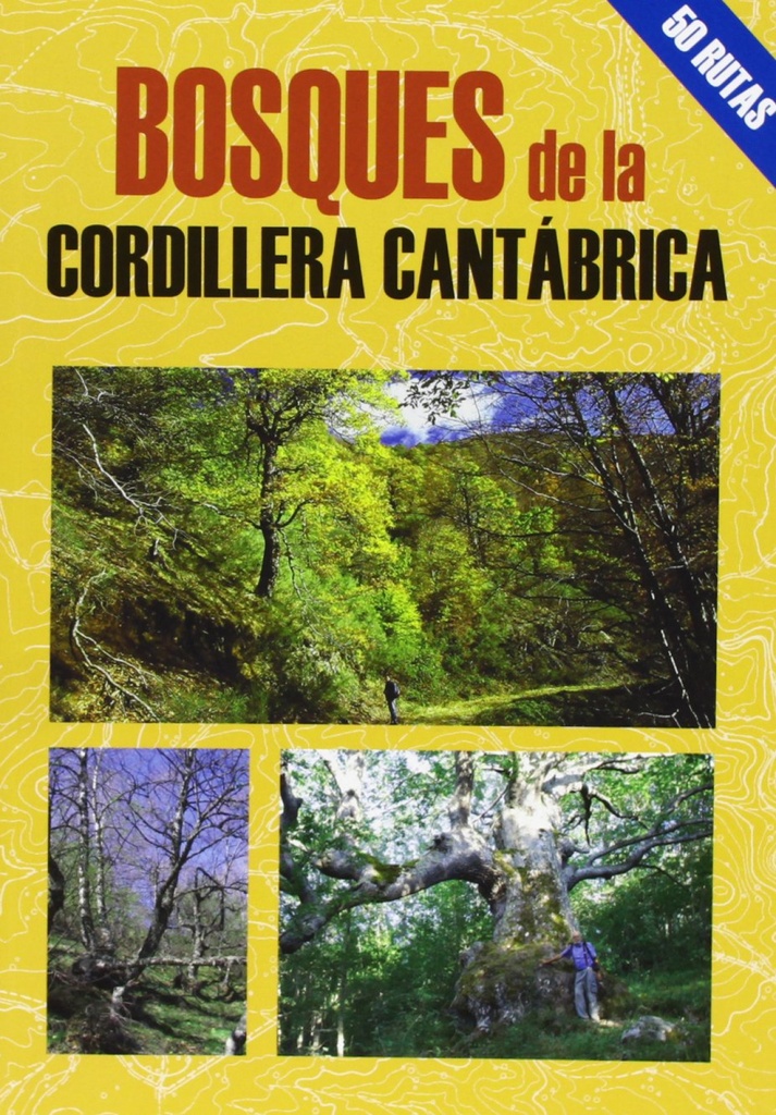 [9788495368607] Bosques de la cordillera cantábrica