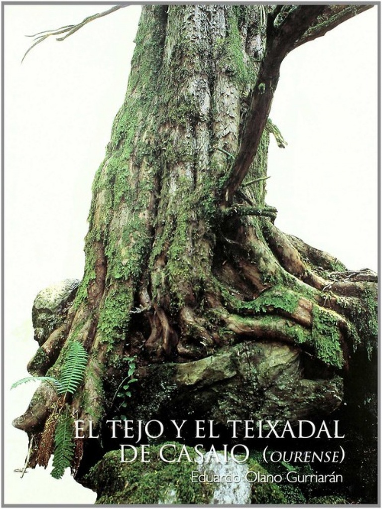 [9788496011755] El tejo y teixadal de casaio