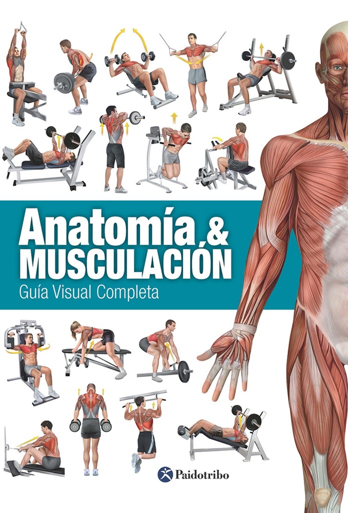 [9788499104911] Anatomía & musculación