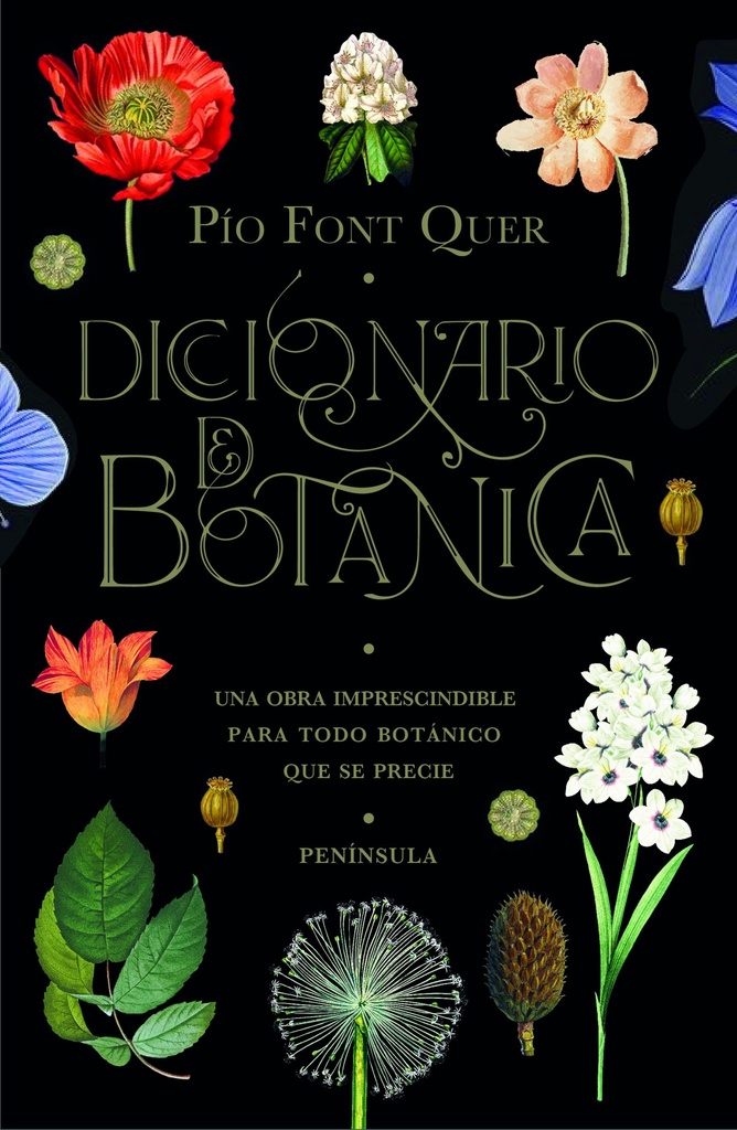 [9788499429076] Diccionario de botánica