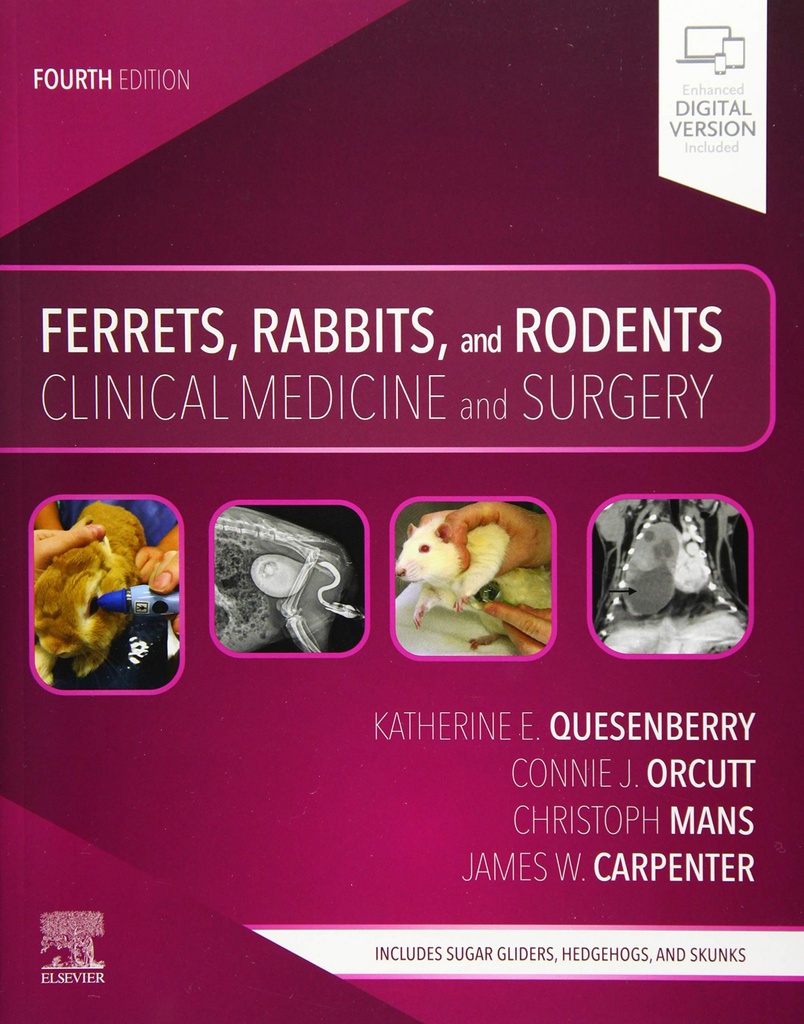 [9780323484350] Ferrets, Rabbits and Rodents. Clinical Medicine and Surgery
