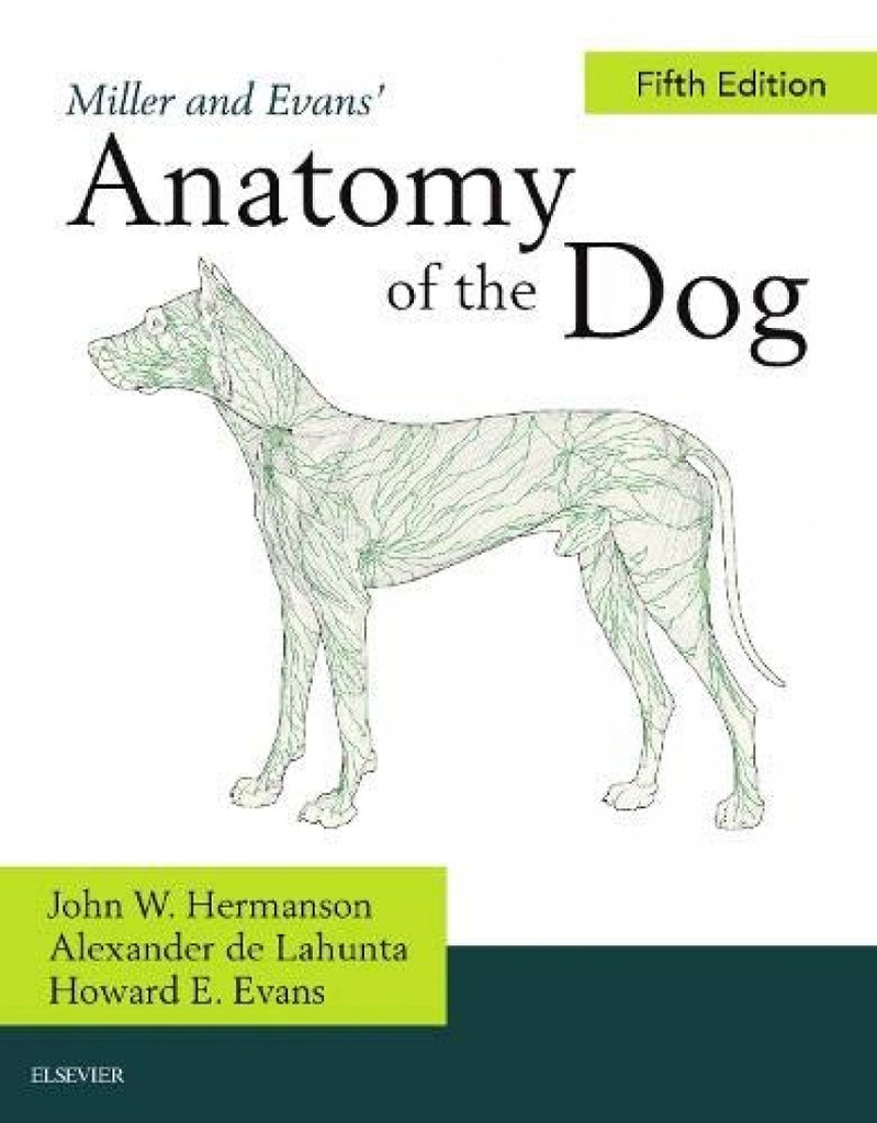 [9780323676687] Miller´s Anatomy of the Dog