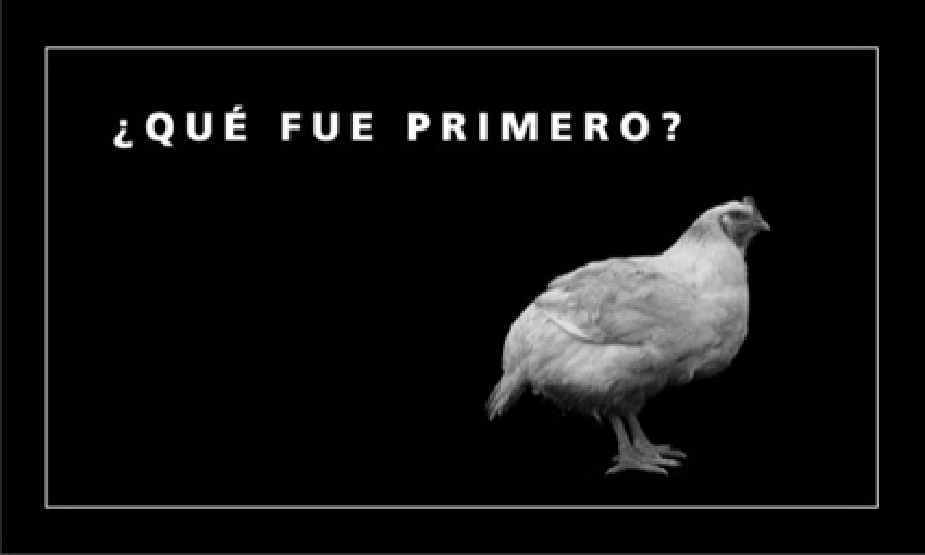 [9789508891877] Que Fue Primero