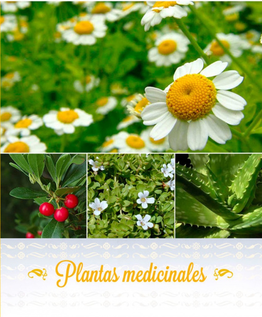 [9789592374485] Plantas Medicinales