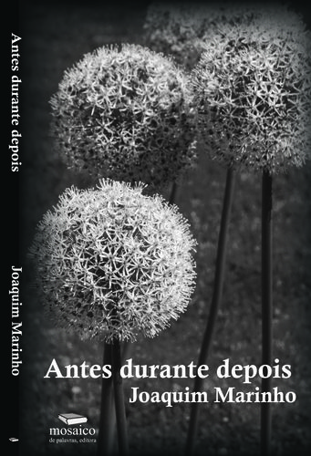 [9789898253910] Antes Durante Depois