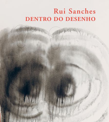 Dentro Do Desenho