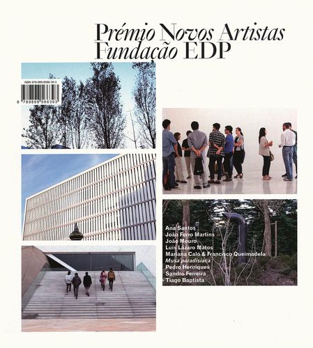 [9789898566393] Prémio Novos Artistas Fundação Edp 2013