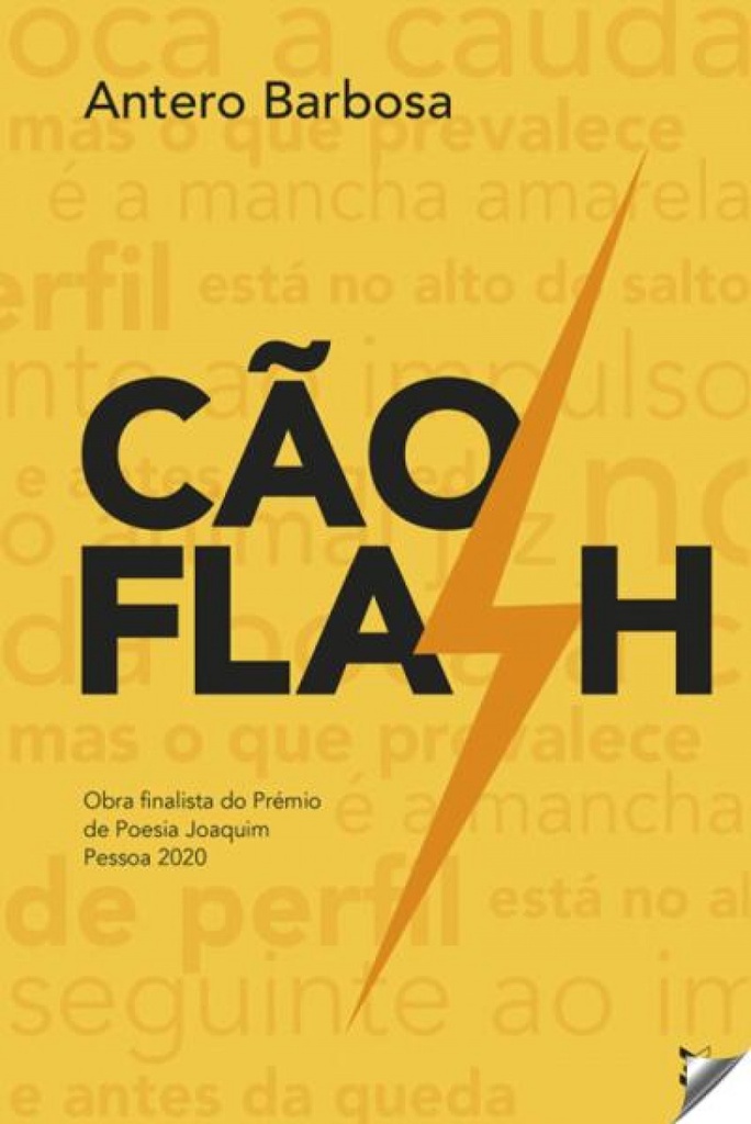 [9789899015456] Cão Flash