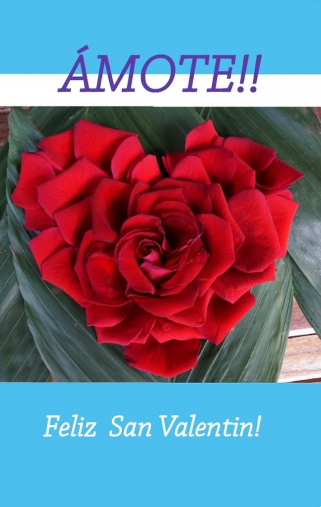 [9789899877597] Ámote! Feliz San Valentín! (r-20160115)