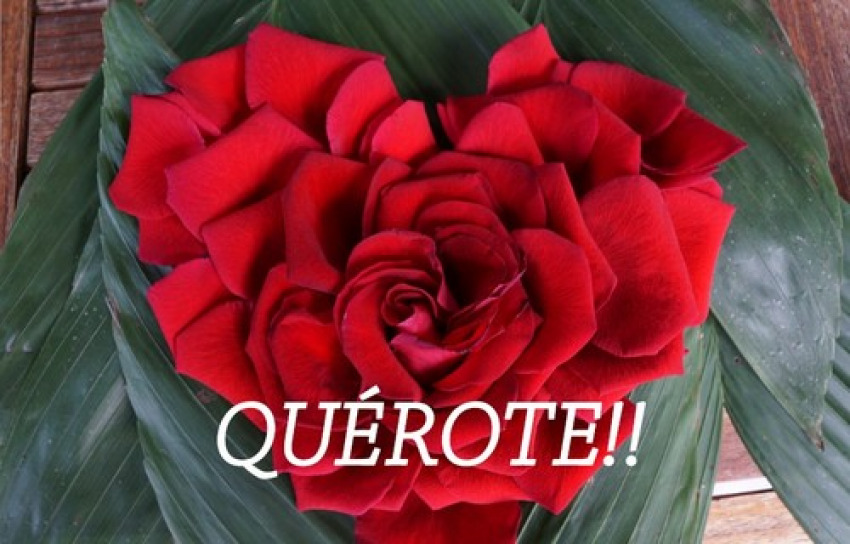 [9789899877627] QUÉROTE!
