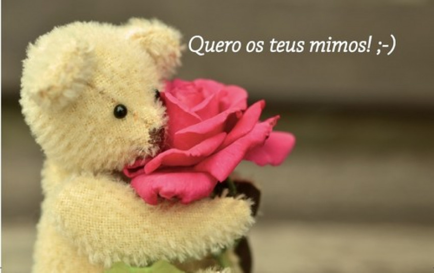 [9789899877726] Quero os teus mimos